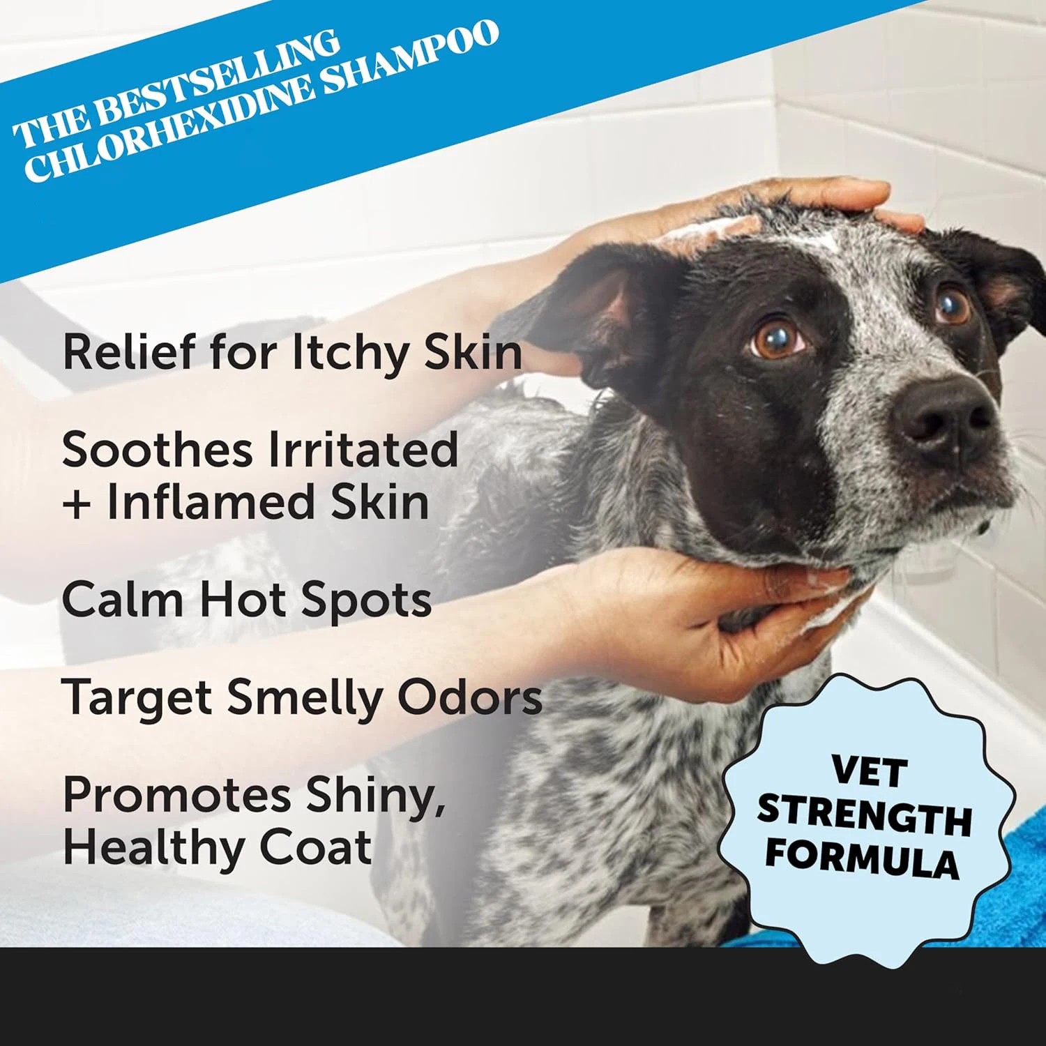 Private Label Plant Based Ingredients Skin Treatment Itchy Dog Shampoo Pet Shampoo