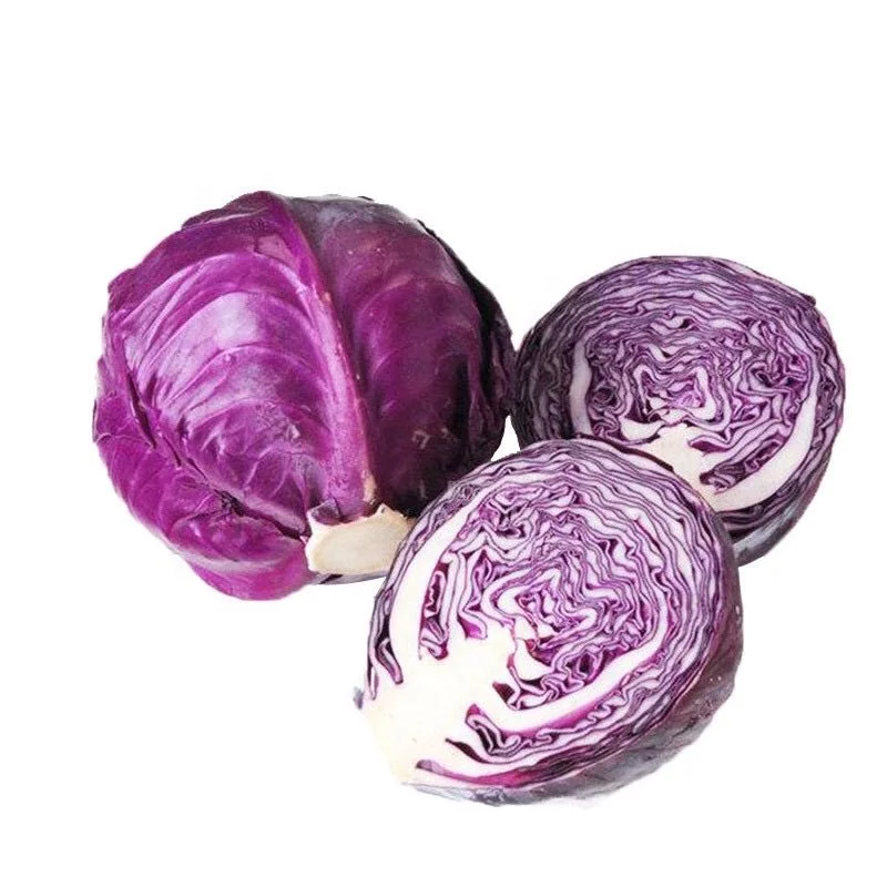 
Chinese Best Quality Heat Resistant Purple Red Cabbage Seed F1 Hybrid 