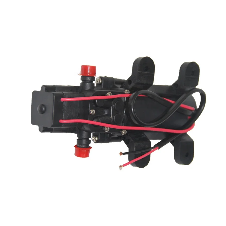 Whaleflo upgrade  FLO-2202 4.3LPM 35psi RV self priming marine car washer electric diaphragm pumps mini 12v dc water pump