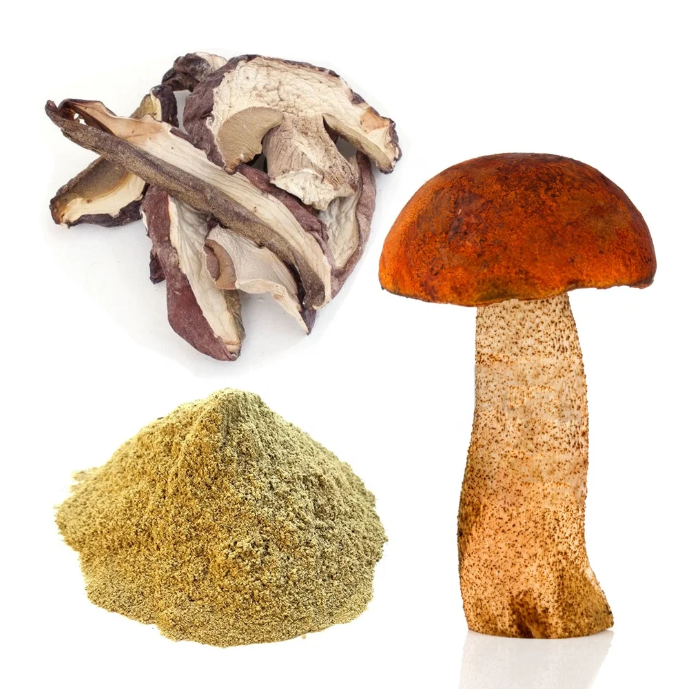 Red-capped SCABER STALK MUSHROOMS (fine ground powder, pieces) 100% WILD organic mushroom powder and peaces for healhy food