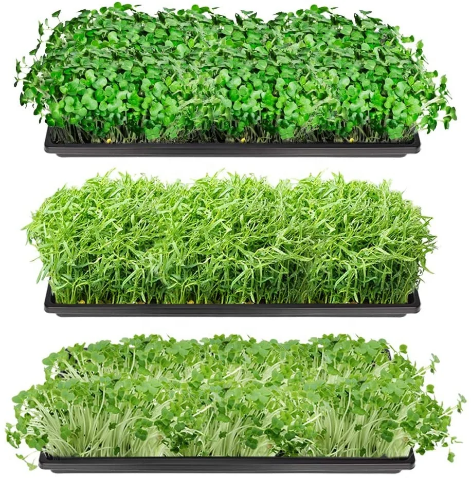 Propagation Starter Seedling Tray 1020 Plant Growing Trays
