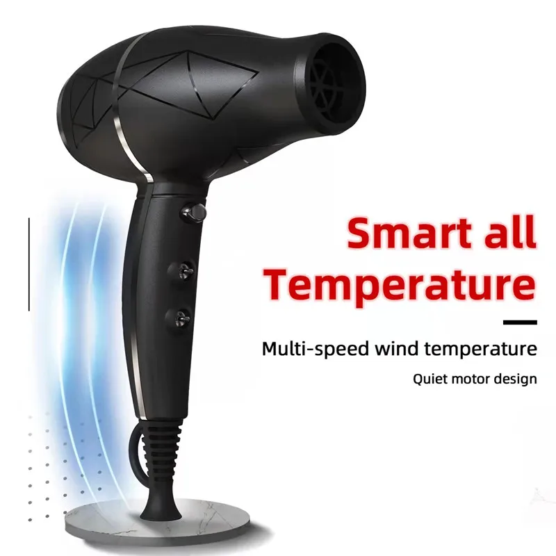 Certificate Professional 2000W Hair Dryer Salon Safe Power Dryer