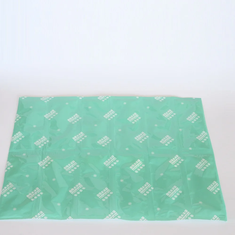 Disposable Cooler Bag Ice Pack Sheet Dry Ice Pack for Food Delivery