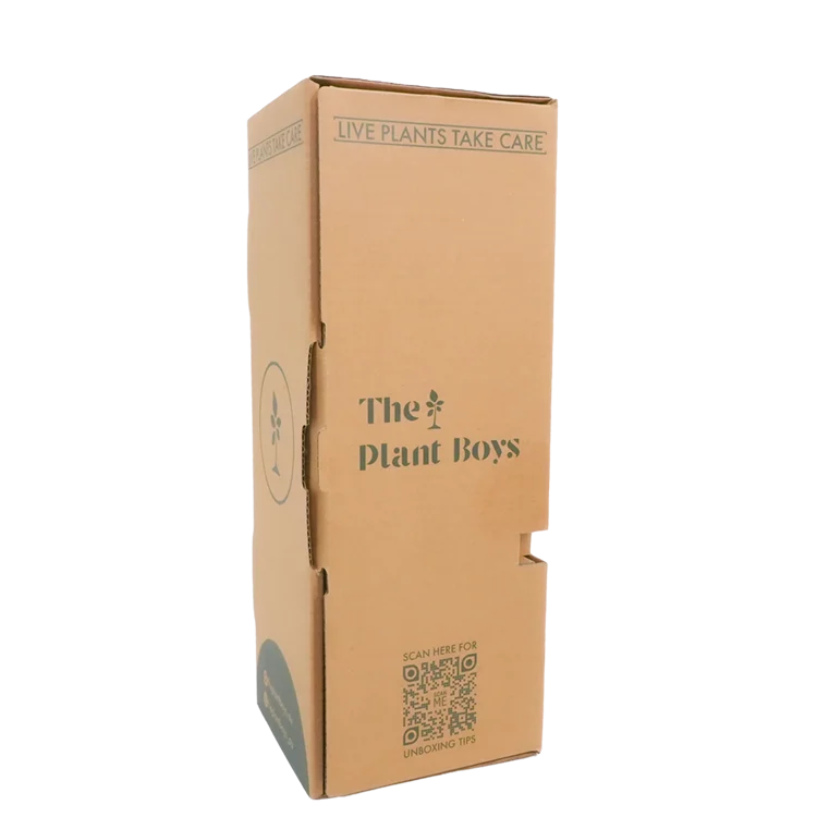 Customized Printing Paperboard Live Succulent Pot Box Artificial Plant Cardboard Packaging