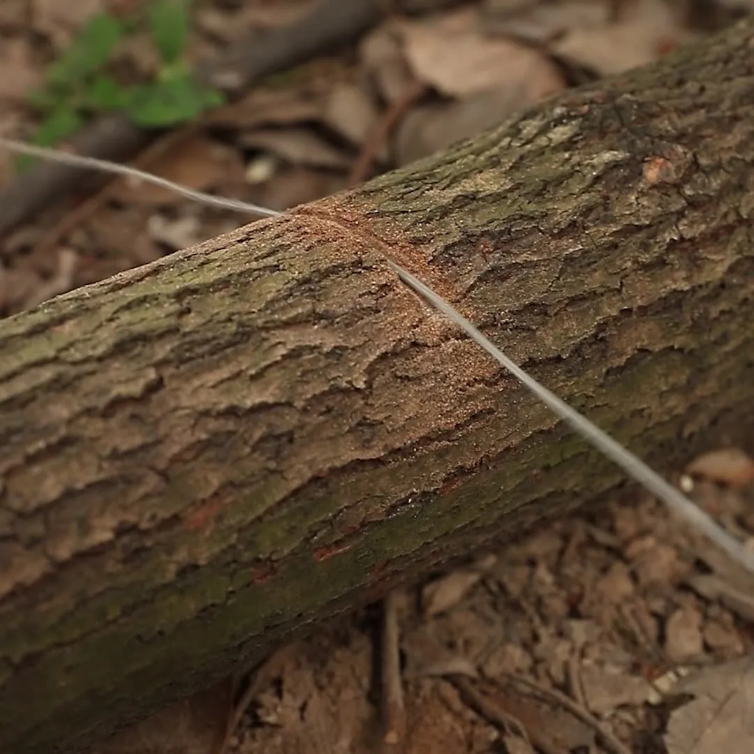 Firstime Wire Saw Stainless Steel Pocket Chainsaw Mini Cable Survival Gear Pole Saw Emergency Chainsaw Survival Kit