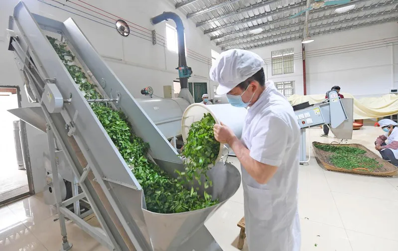 Высококачественный Темный чайный торт Pu Erh ароматный чай Puer Tianjian