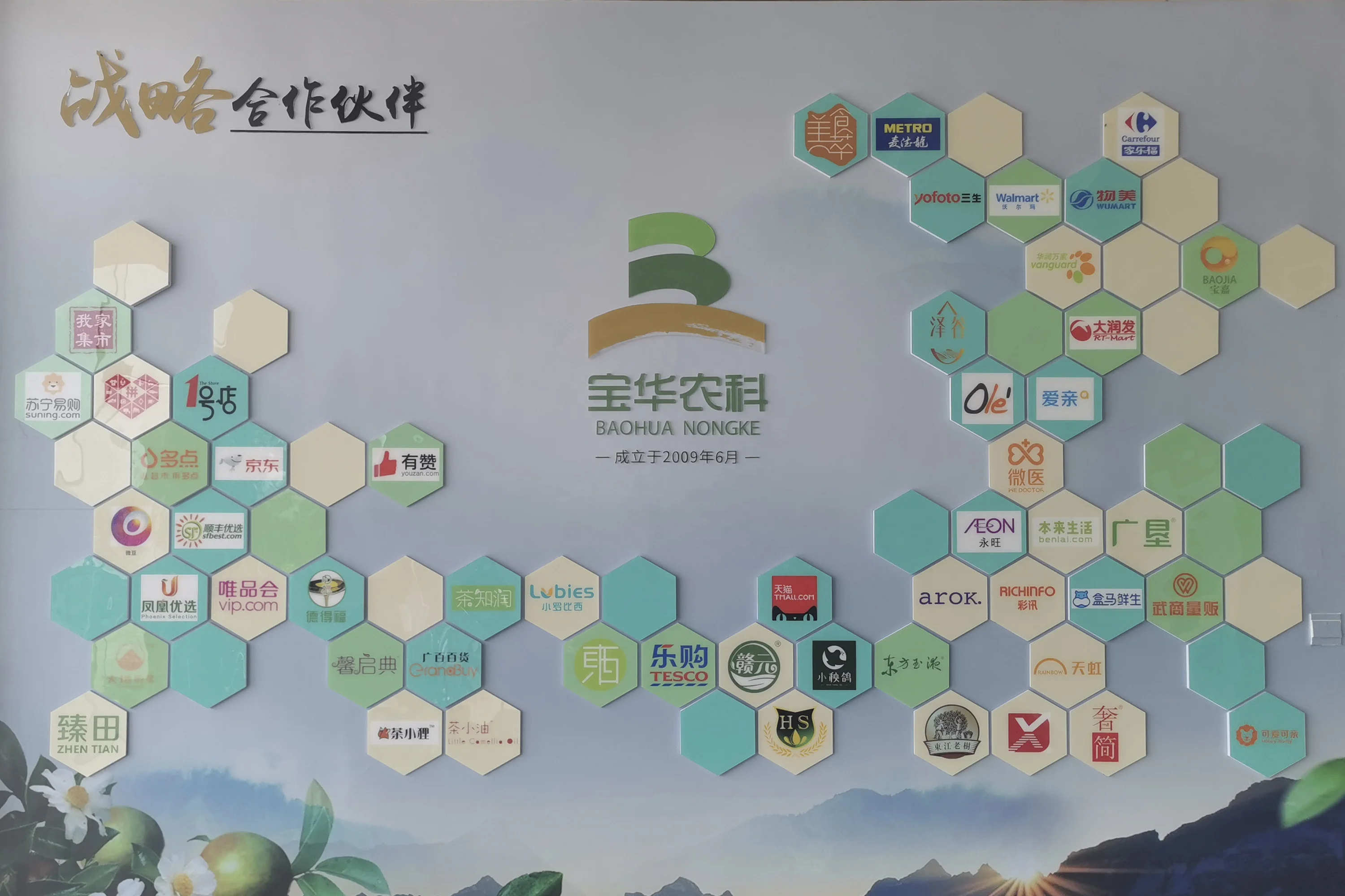 OEM/ODM Service for Camellia Seed Oil 100% Pure Top Factory Camellia Oleifera Seed Oil Cold Pressed Japonica Tsubaki Tea Oil