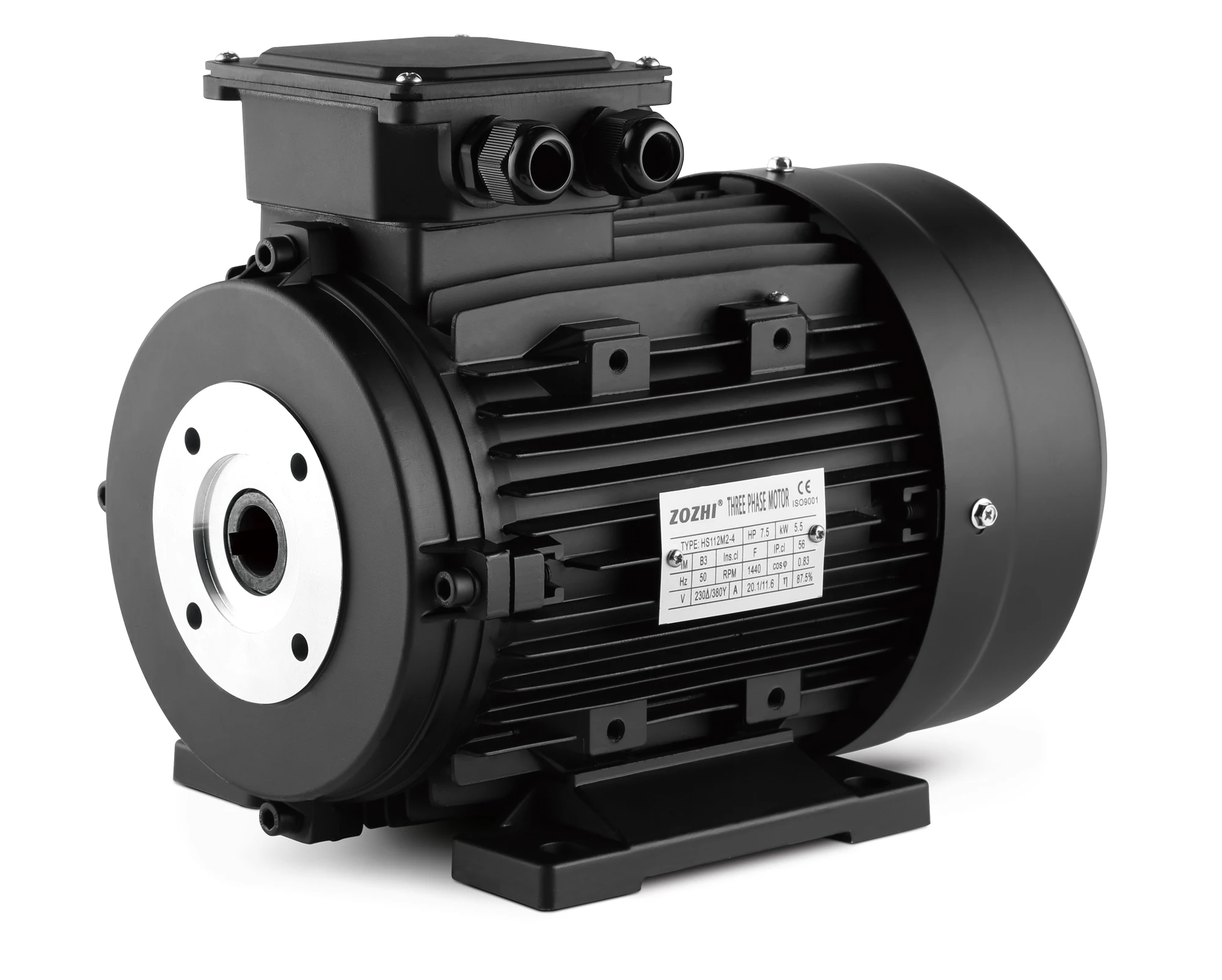 ZOZHI 3Hp Hollow Shaft Electric Motor 24mm Shaft Single Phase For High Pressure Cleaners