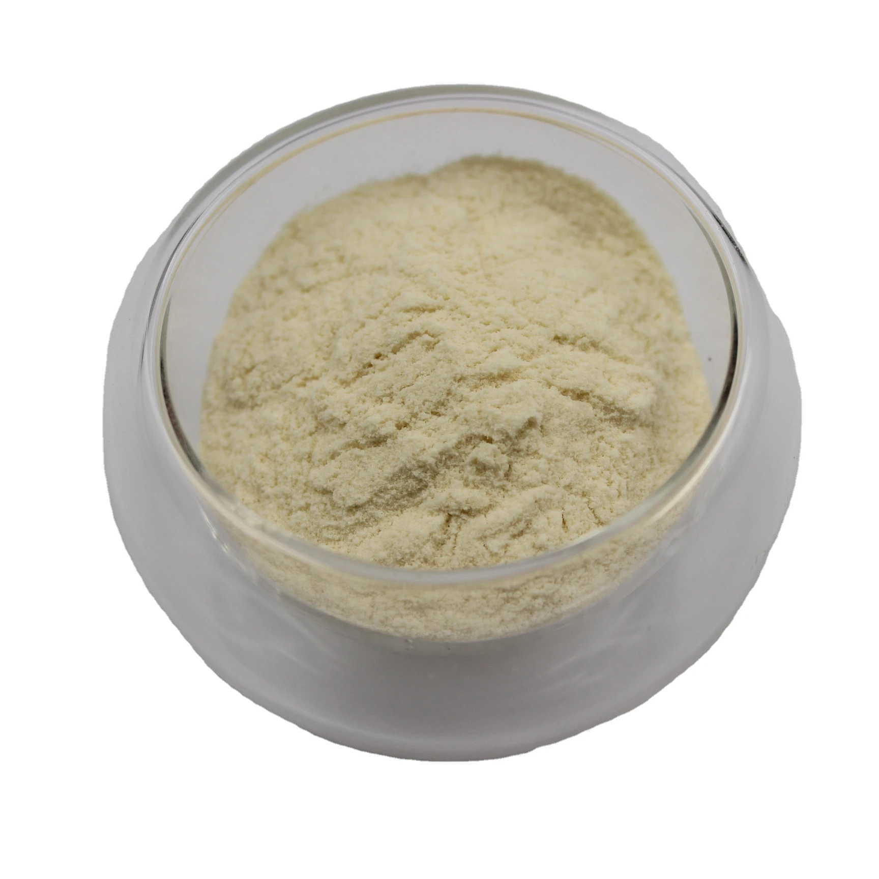 Top Quality Feed Additives  Microbial Feed Animal Supplements Bacillus Subtilis 100B CFU/g  Probiotics