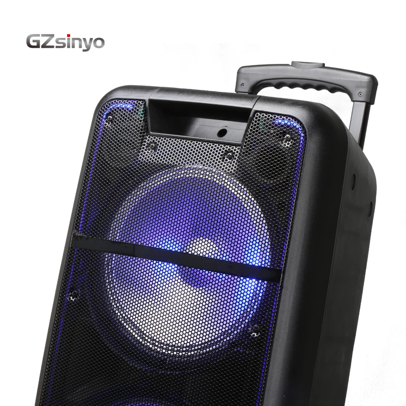 double 10inch  trolley   hot sell low price outdoor portable speaker system with usb charger