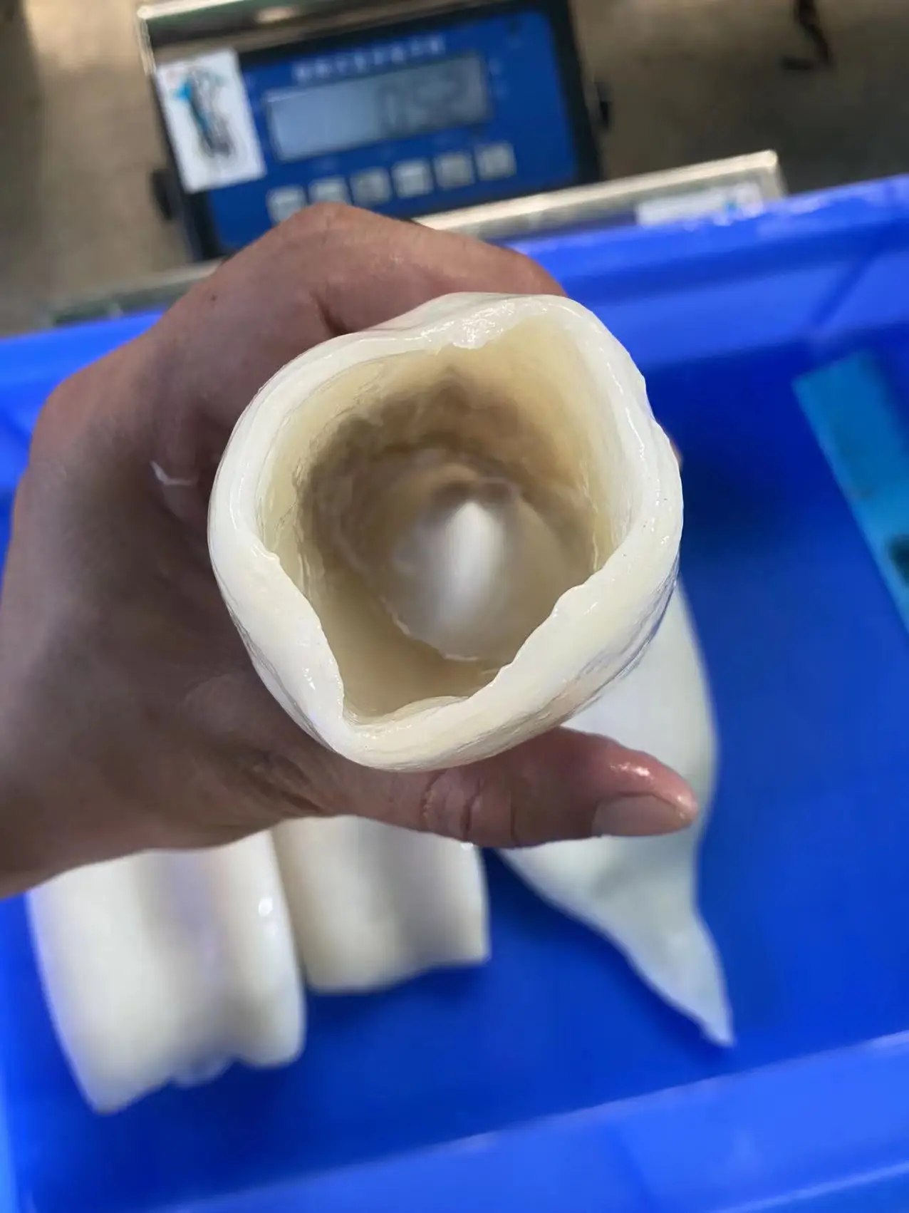 Новый запас, китайский оригинальный замороженный кальмар для мяса, замороженный кальмар