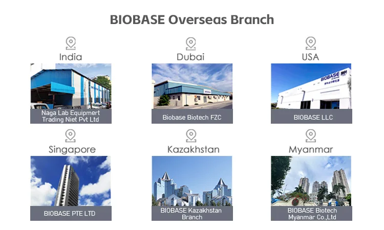 BIOBASE Hot sales laboratory equipment ultrasonic cleaner for lab and school