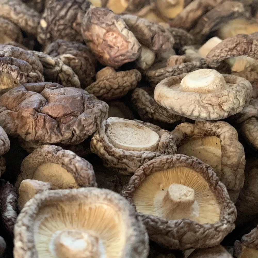 Type AA shiitake mushrooms dried mushroom