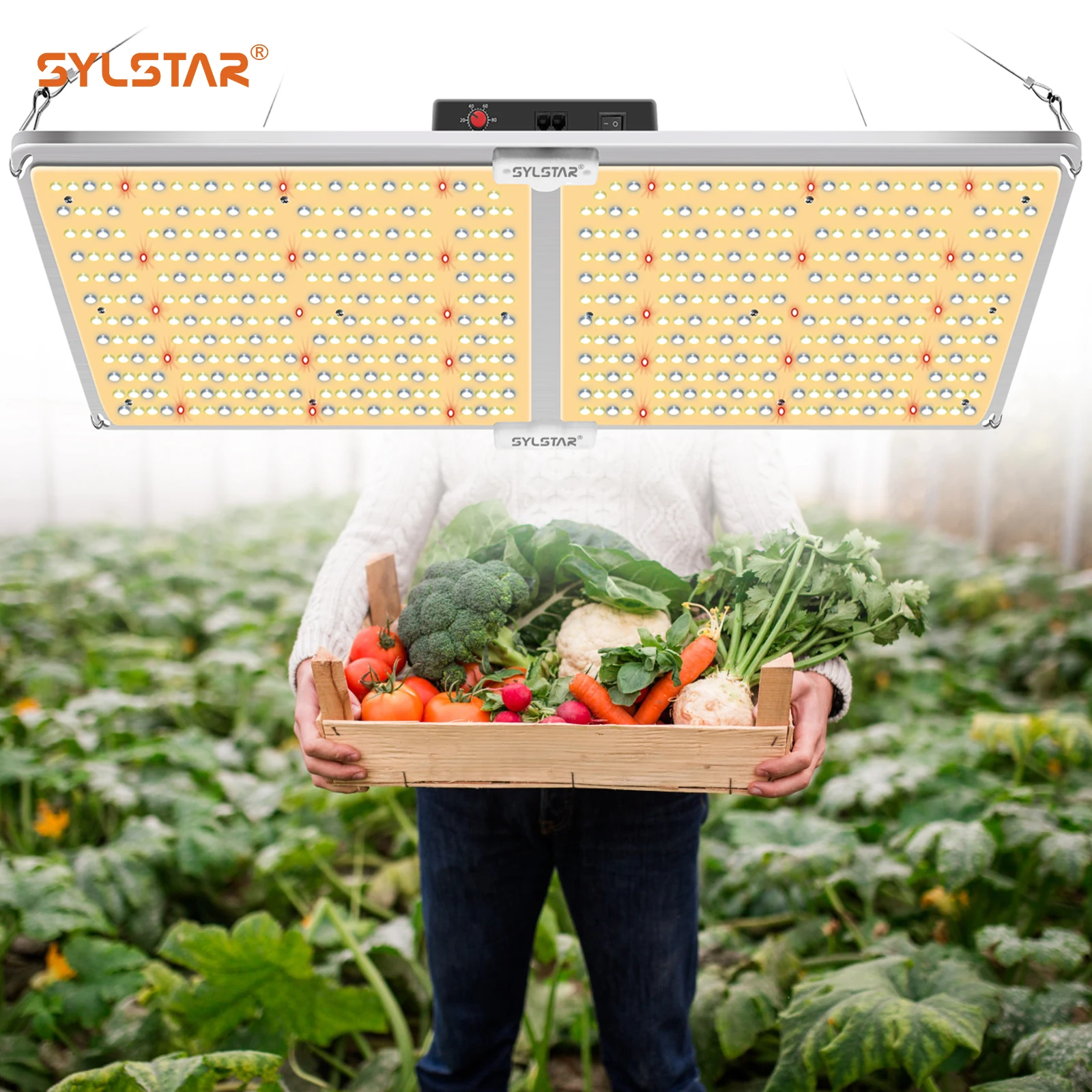 Sylstar Samsung Lm301b Lm301h Led 100w 220w 400w 720w Quantum Boards