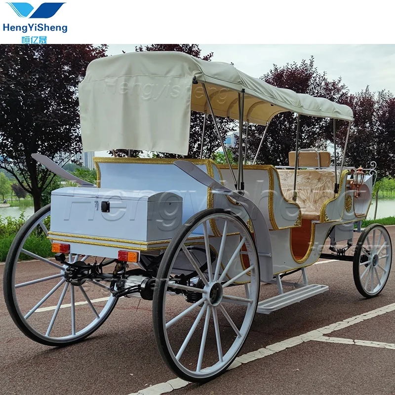 Electric Luxury three-row  Sightseeing Drawn Horse Carriage/Special Transportation  tourism Horse  Carriage