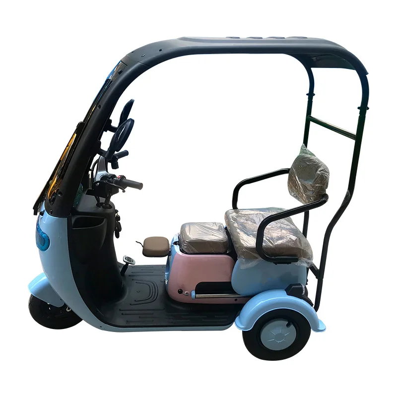 2024 New Design 3 wheel electric motorcycle 800W Electric Trike 48V 60W20Ah Open Body Electric Tricycle for Adults Bike Use