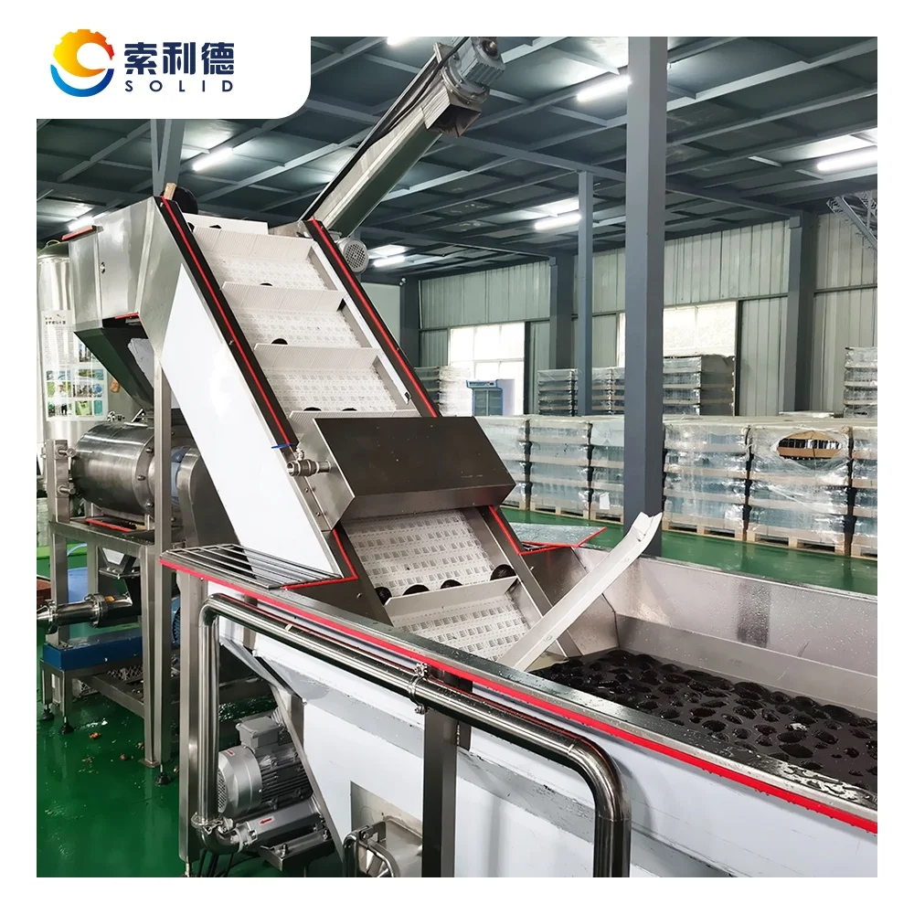 CPAO-1000 1000kg/h virgin avocado oil making machine cooking oil production line and avocado oil cold pressed line