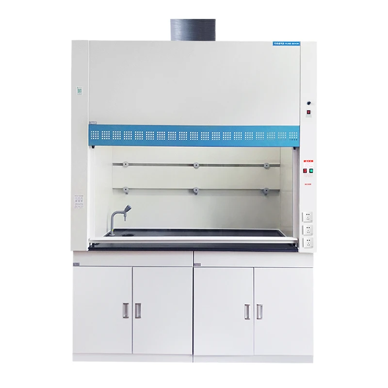 Customized Factory Selling Biological Safety Cabinet Ductless Hospital Laboratory Equipment/