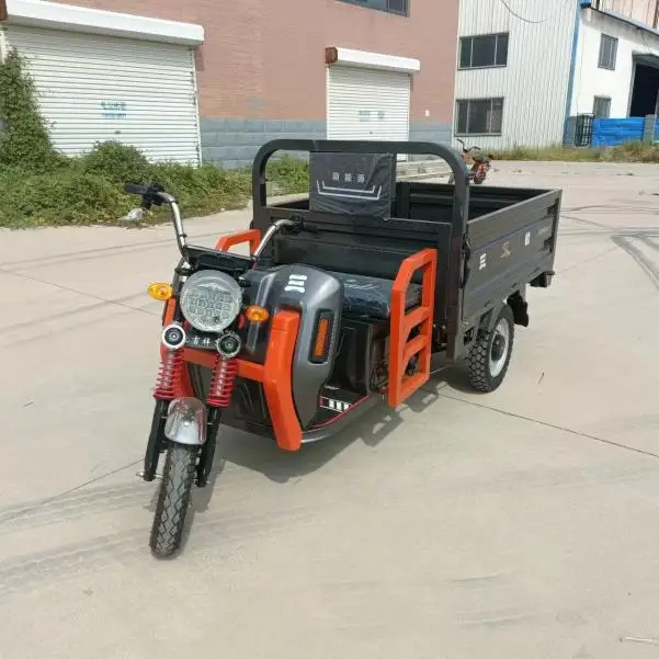 High Quality Electric Trikes for Long Distance Sightseeing & Cargo Transport 60v Triiclo Triciclo Electric Tricycle for Adults