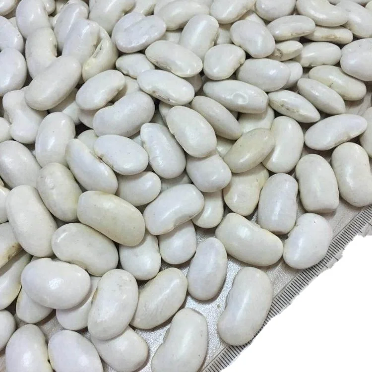2024 new crop Chinese canned white kidney bean for human consumption