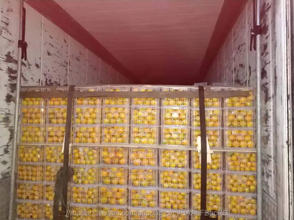 fresh mandarins oranges