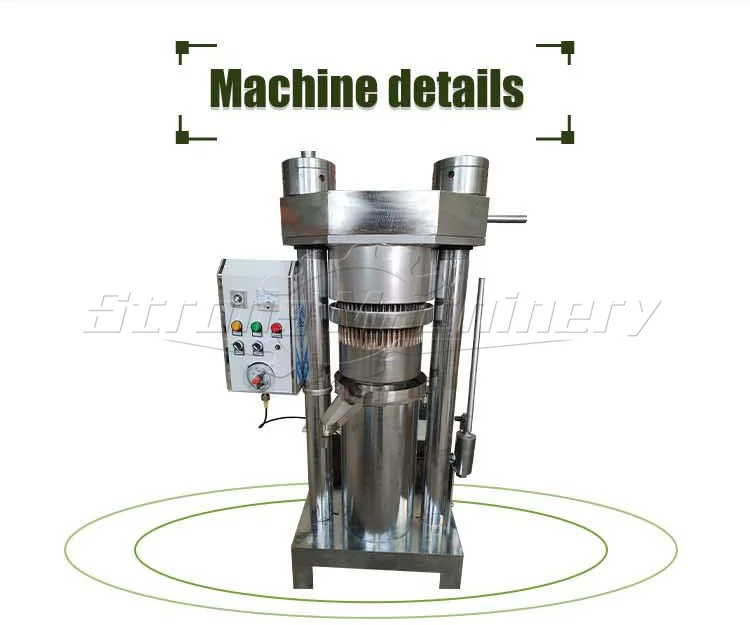 Small Automatic Hydraulic Cold Avocado Palm Sesame Oil Extractor Pressing Olive oil Press Machine