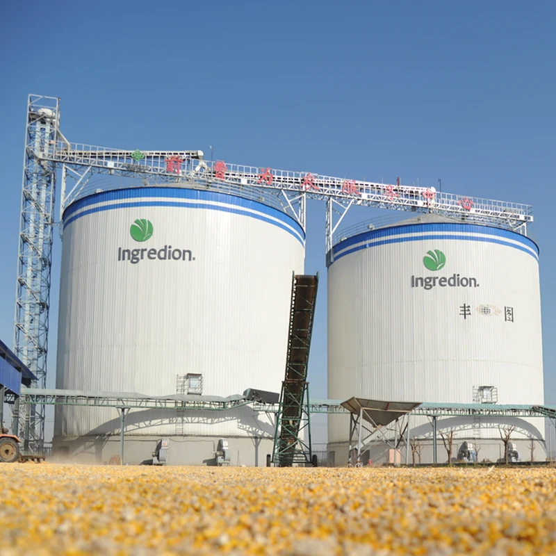 8000 Ton large capacity corn Silos for Grain Storage