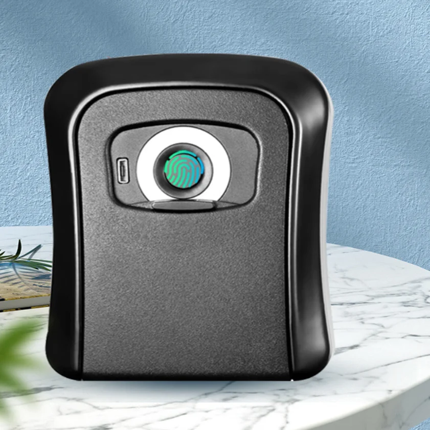  Usb rechargeable wholesale Wall Mounted Smart biometric Fingerprint Key