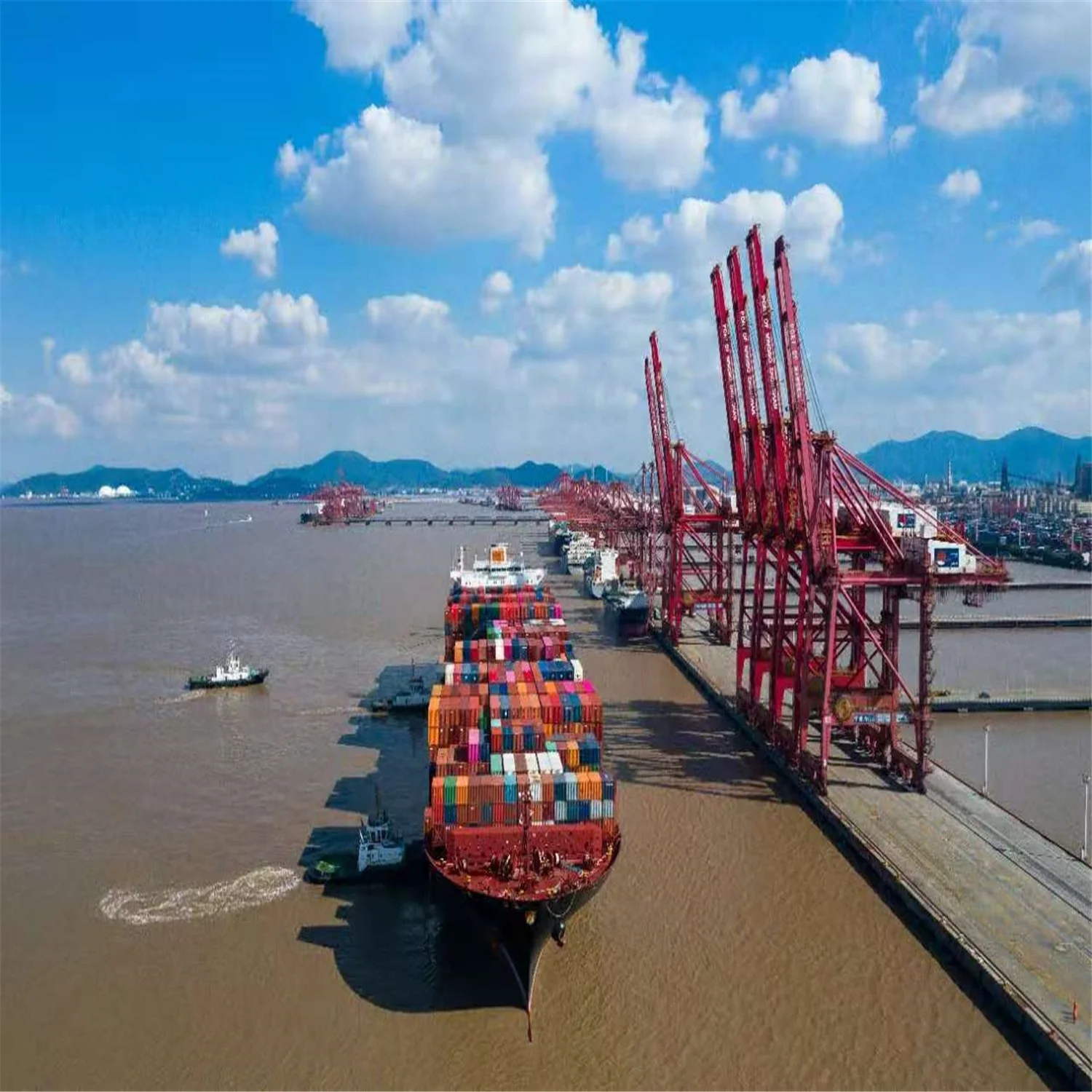 OOCL/MSC/ONE/MCC/COSCO shipping services from QINGDAO  TO SOUTHAMPTON 40HQ