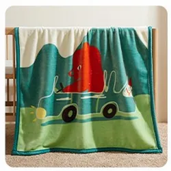Four seasons general newborn throw polyester baby soft custom printed minky blankets