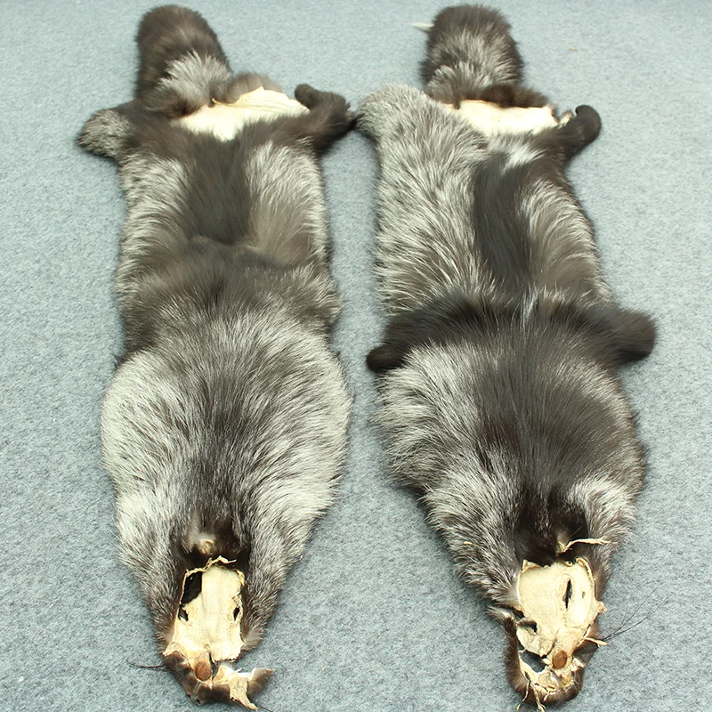 Best fox skins price various color tanning fox skin silver fox fur skin pelt for coat