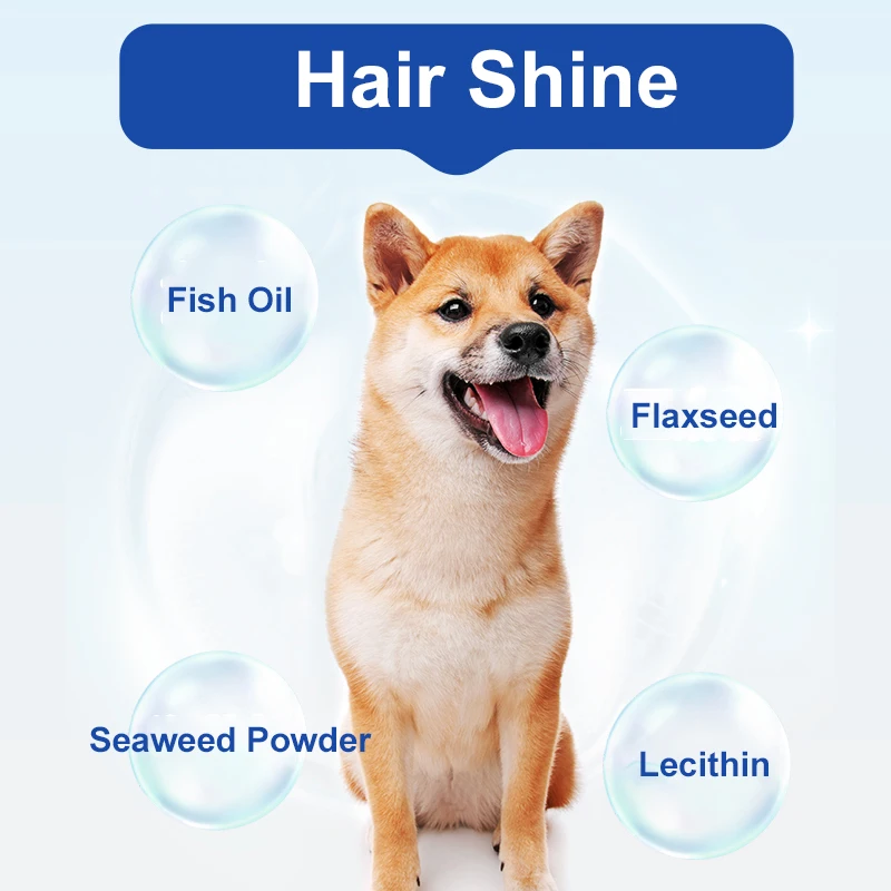 Vittide OEM/ODM Pet Food Gastrointestinal Fresh Meat Complete 4.8kg Grain Shapes Dry Food For Dog