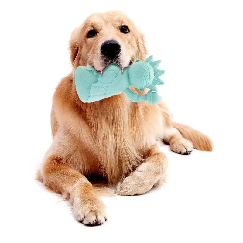 Durable Food Grade TPR Puzzle Pet Toy for Dogs Novel Interactive Chewable Toy with Food Leakage Effect