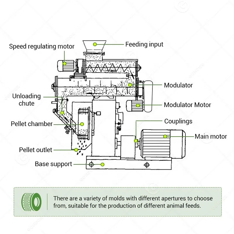 Electric Poultry Rabbit Pullet Feed Processing Pelletizer Floating Fish Feed Pellet Make Machine in Nigeria