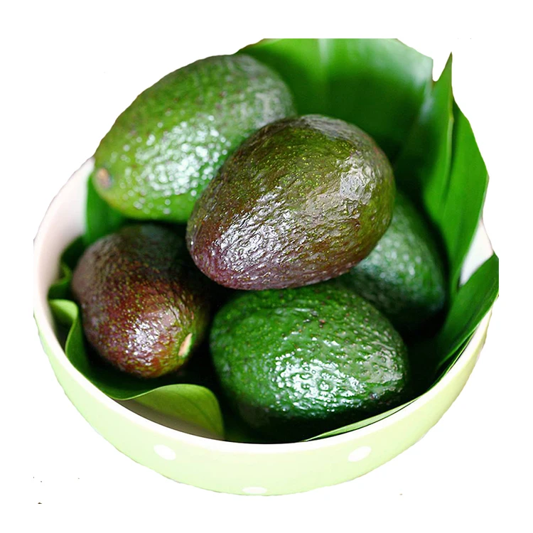 
Hot Sales Price Fresh Mexican Hass Avocado Fruit 