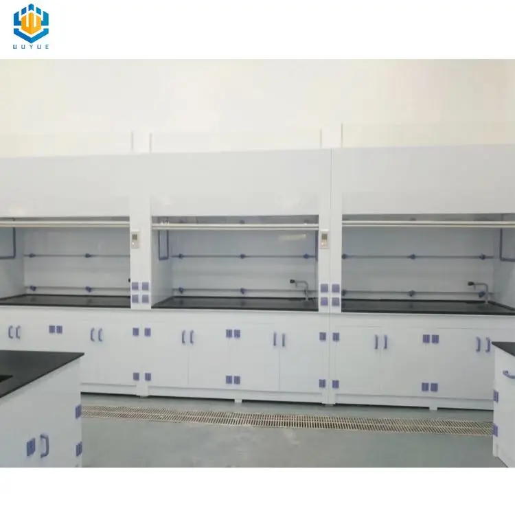 Acid resistant material walk in chemical fume hood  cupboard  lab equipment for schools