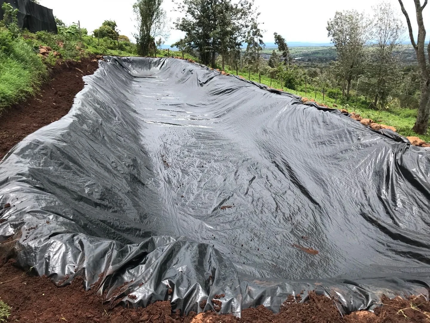 Горячая Распродажа! 200 квадратный метр 3 слоя PE брезент HDPE LDPE рыбы противофильтрационная облицовка