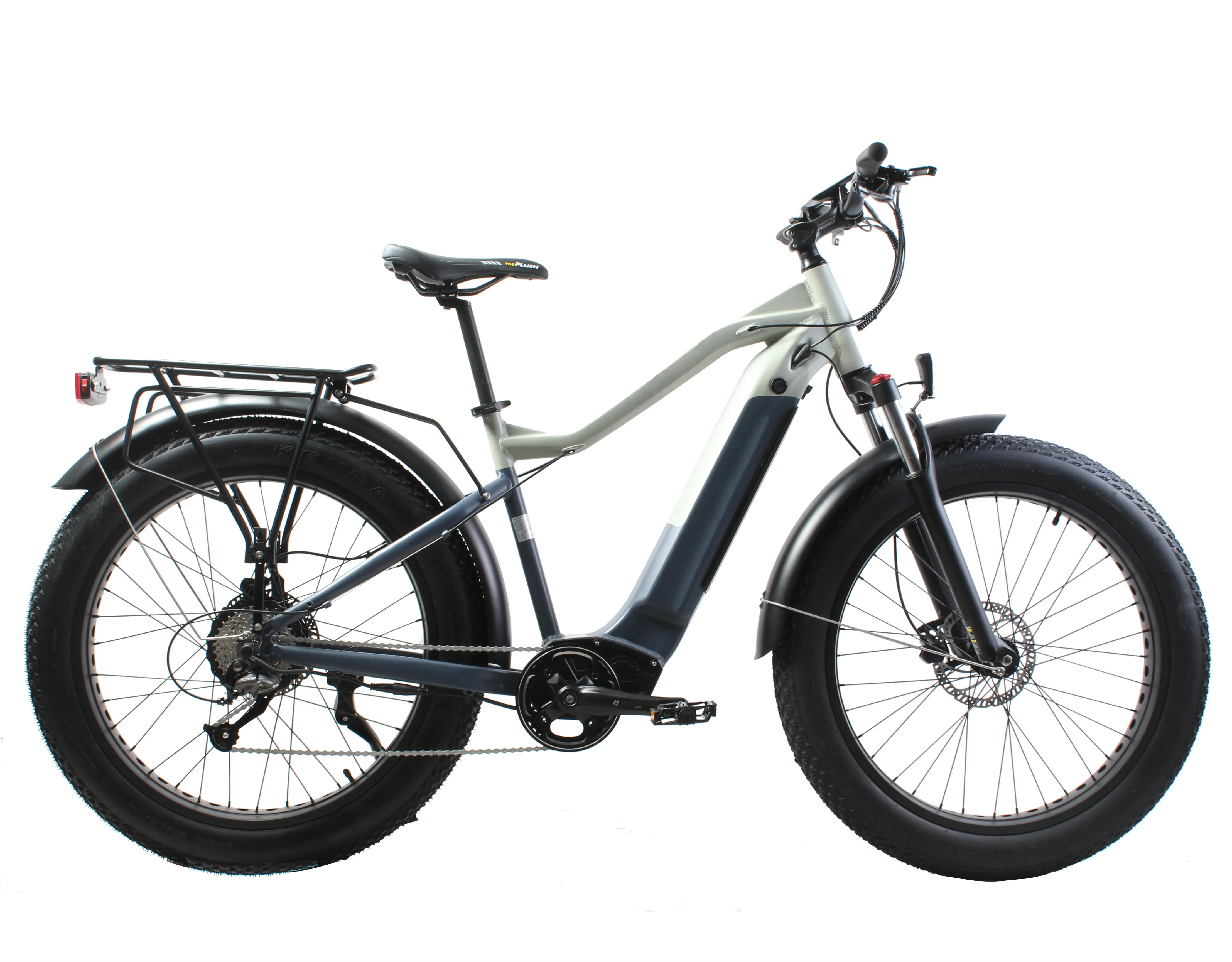 Hot Selling 750W/1000W Bafang Motor E-Bike 48V Fat Tire Mountain Bike Fatbike Electric Bicycle Enduro Ebike Hunting Bikes Frame