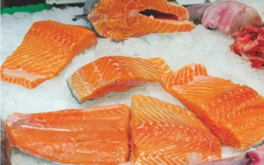 meat portion cutter machine for chicken meat and fish CUT28