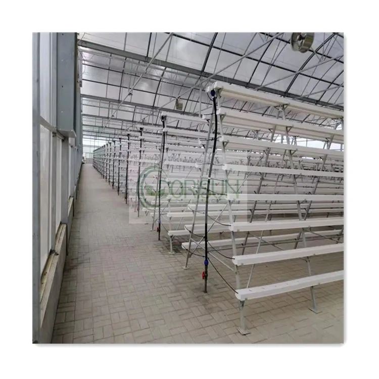 Factory Direct Sale Complete Agricultural Green House Vertical Farm Hydroponics Cucumber Nft System