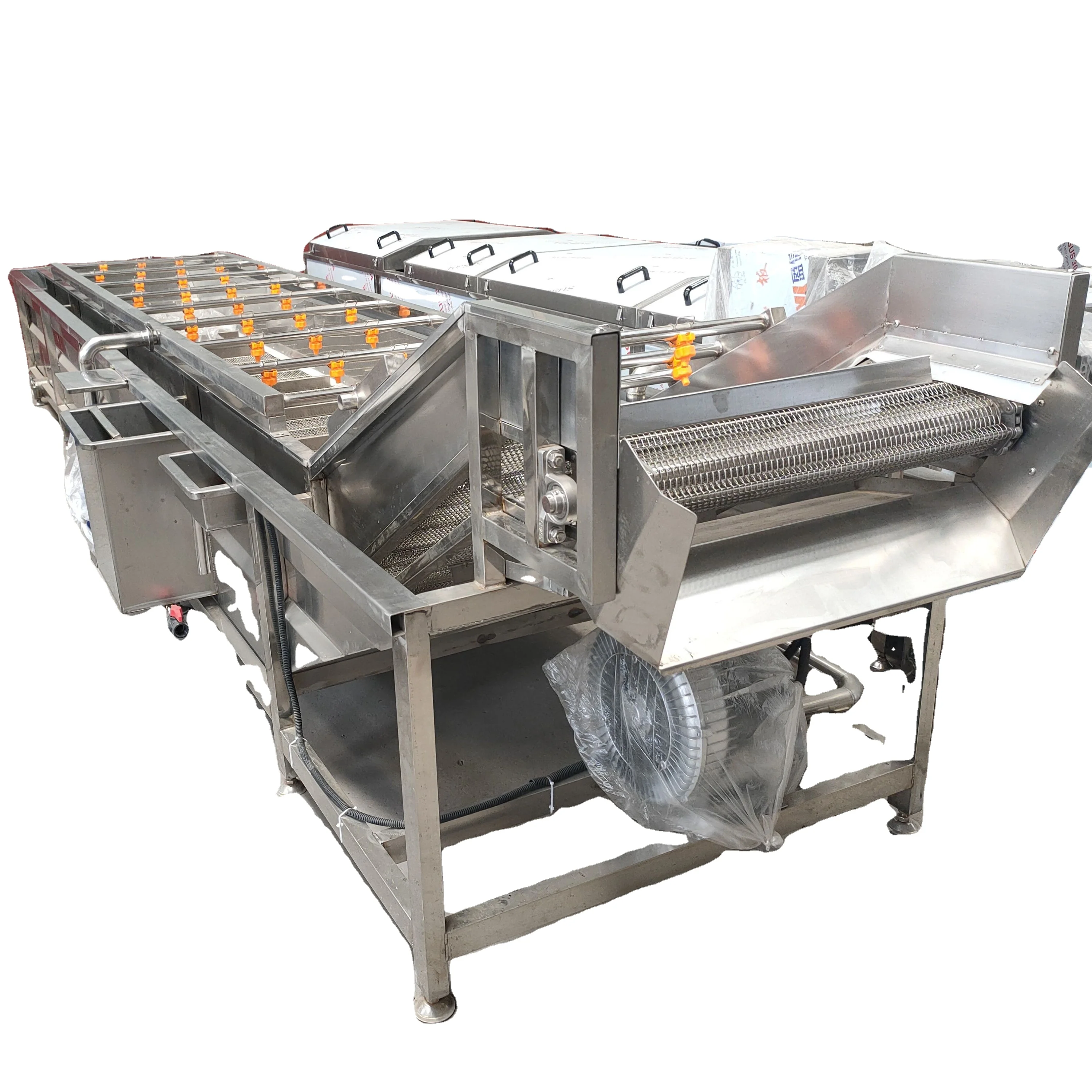 Industrial Automatic Ozone Vegetable And Fruit Washing Machine With Bubble