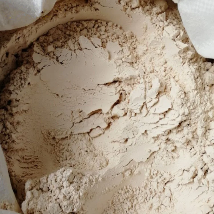 Wholesale Bigger Manufacture Cheaper Diatomite Price Diatomite Powder for Gardening