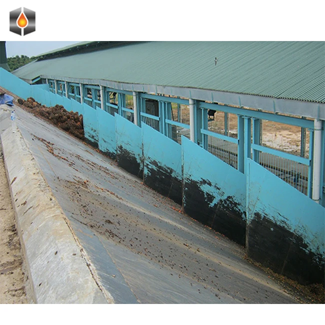 Automatic palm kernel oil red palm oil production machinery red palm oil press line