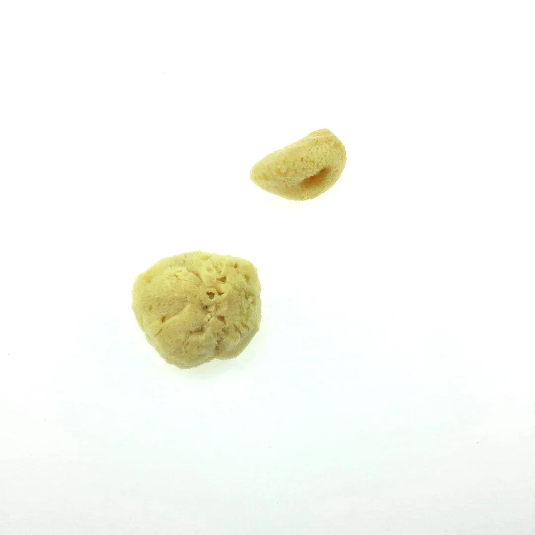 Natural Sea Sponge Decolorization Honeycomb Shape Bath Sponge From Greece