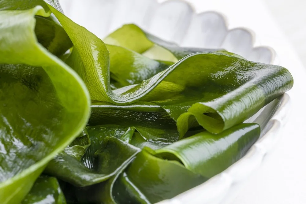 New salted wakame/fresh seaweed wakame for