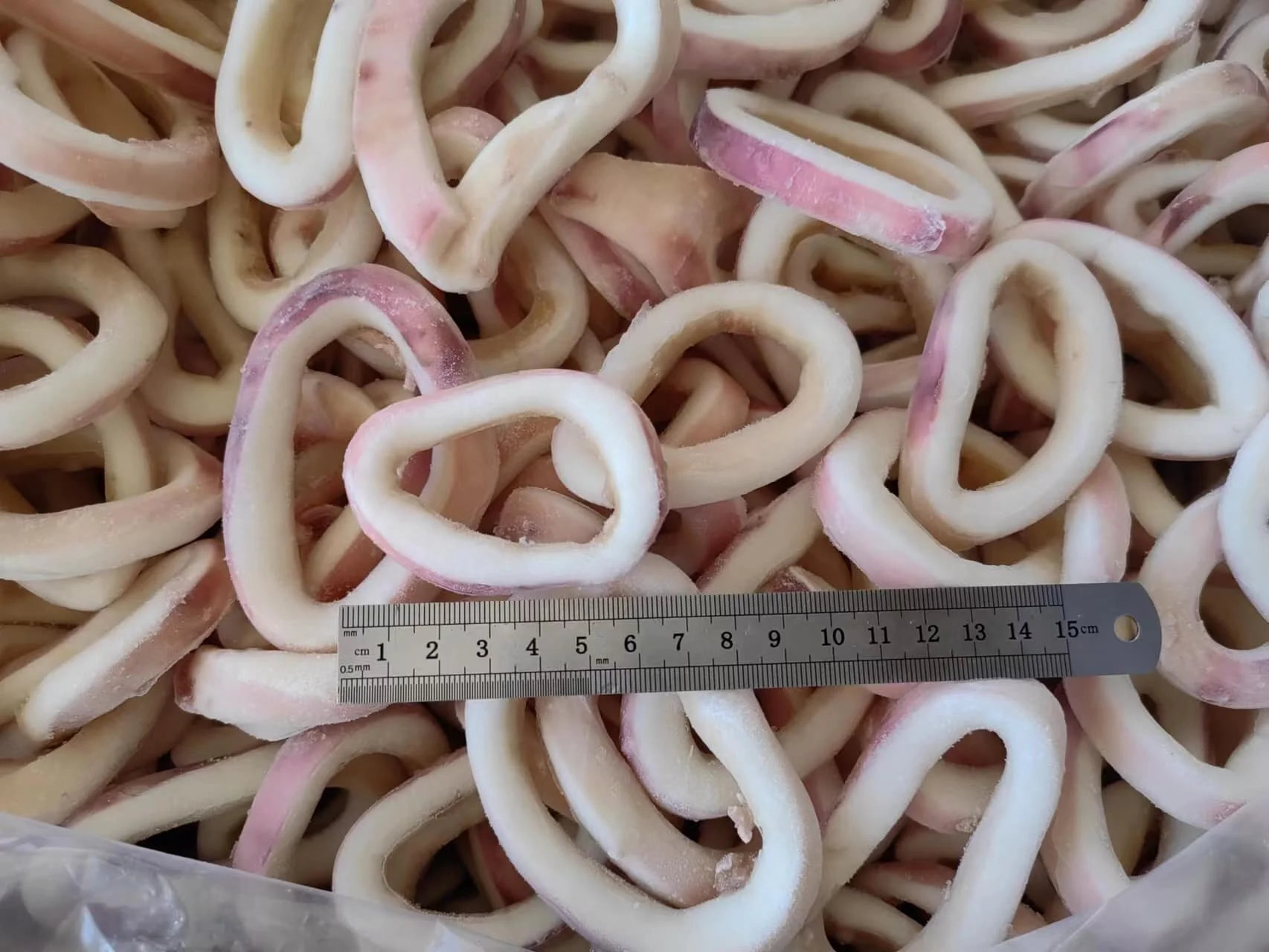 Frozen Seafood Squid Ring Indian Ocean Squid Ring Good Price
