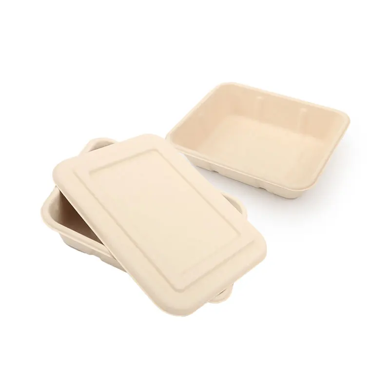 Customized Lunchbox To Go Container Sandwich Disposable Takeaway Packaging Food Boxes