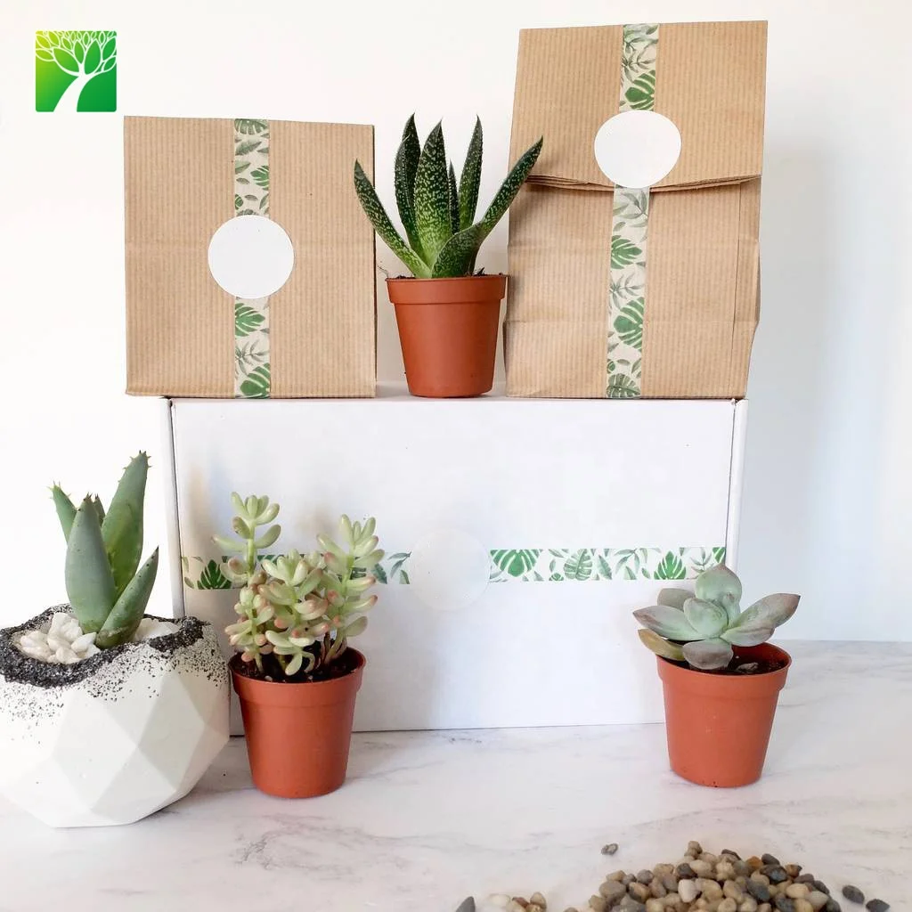 Лидер продаж на Amazon, специальный подарок, суккулентный Террариум, подарочный набор «сделай сам» с моющимся мешком из крафт-бумаги