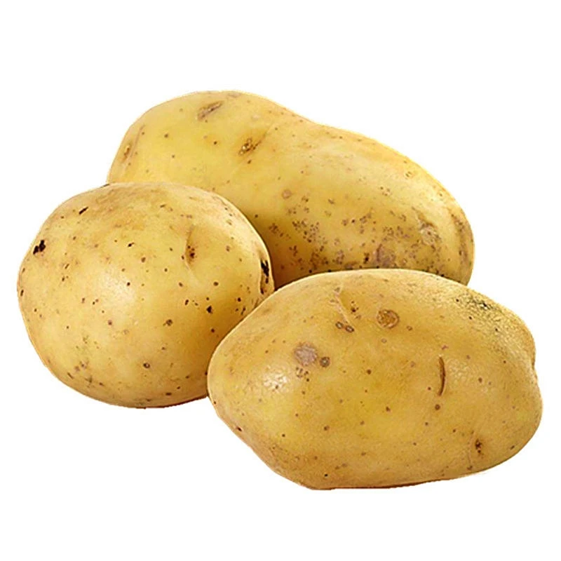 
Hot Selling Vegetable Fresh Potato potato exporters 