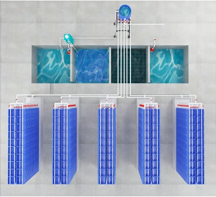 Wholesale price mud crab culture farming house boxes RAS system mud farm crab box